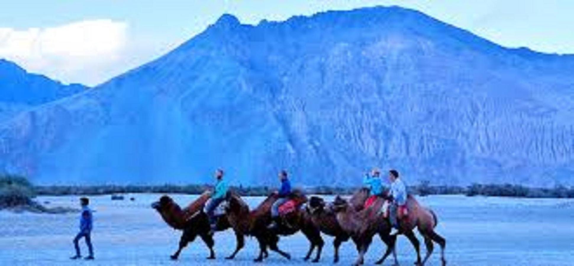 The Sky Desert ,Hunder , Nubra Hotel Charāsa Exterior photo